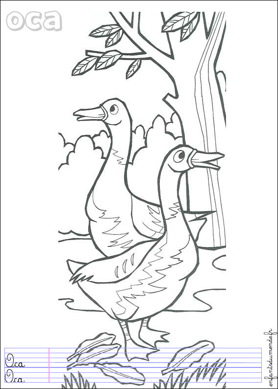 coloriage oie 1